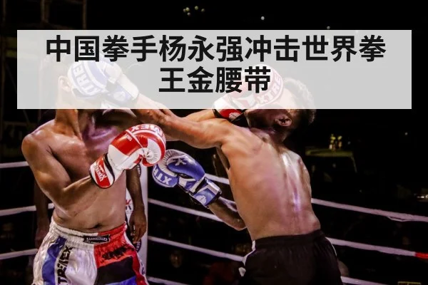 中国拳手杨永强冲击世界拳王金腰带