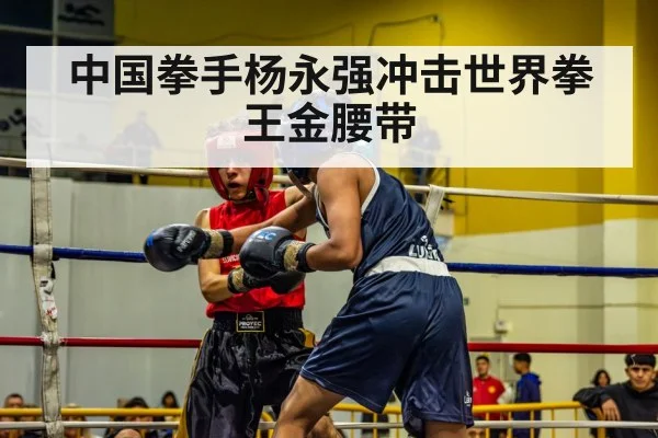 boxing match ring