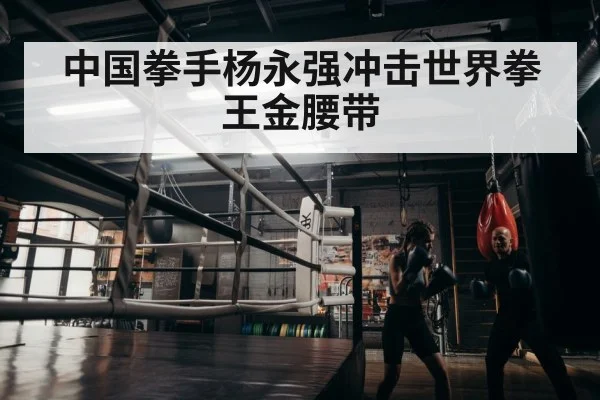 boxer training hard