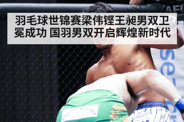 羽毛球世锦赛梁伟铿王昶男双卫冕成功 国羽男双开启辉煌新时代